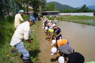 taue5nen002.JPG