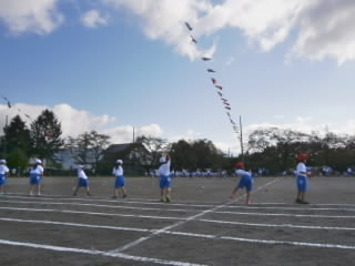 tamaire02.JPG