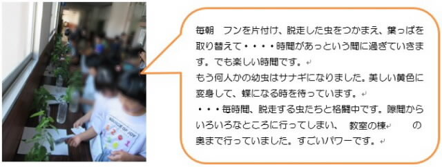 tyounoohanasi005.jpg