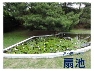 20220615_kocyokowa08.JPG