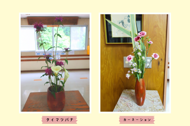 20240617_hana.png