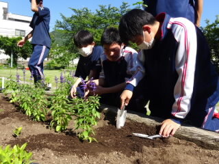 DSC08626.jpg