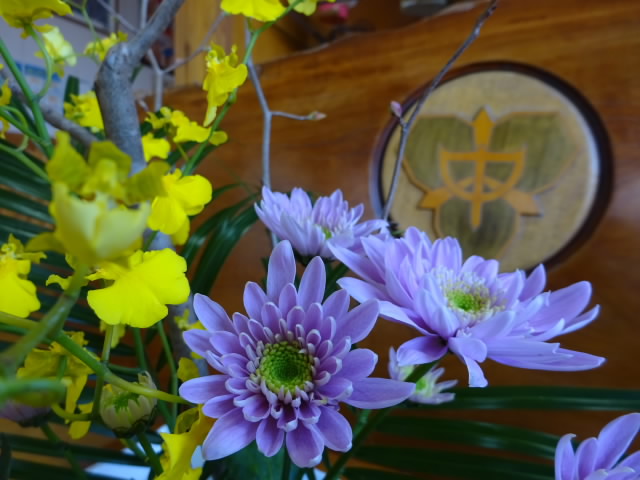 s-DSC00483.jpg