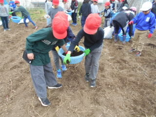 2年畑の作業 (1).jpg