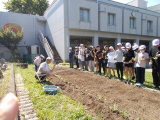 花の苗植え (1).jpg
