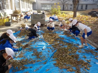 2年まめ取り (2).jpg