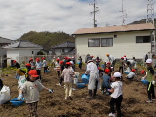 20250424-2.hatake02.JPG