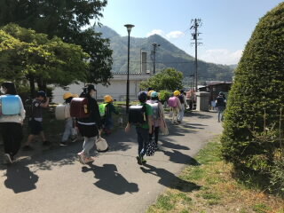 20250502-geko1.jpg