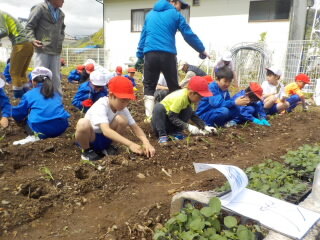 20250507-2.ookikunare01.JPG
