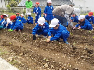 20250507-2.ookikunare02.JPG