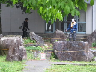 20250517-PTA01.JPG