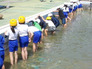 20250605-pool1.JPG