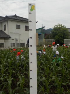 20250612-2.ookikunare1.JPG
