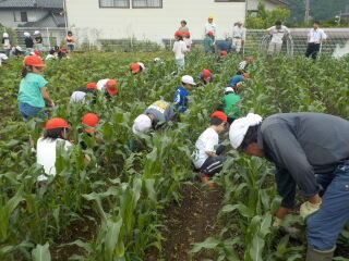 20250612-2.ookikunare2.JPG