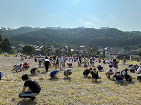 20250827-kusanuki01.jpg