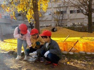 1年やきいも (1).jpg