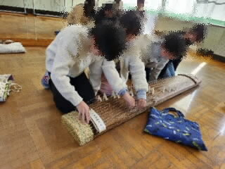 さくらさくら (1).jpg