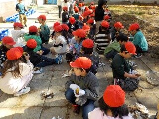 1年やきいも (2).jpg