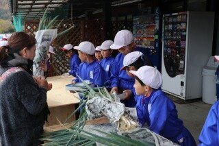 3年ねぎ販売 (2).jpg