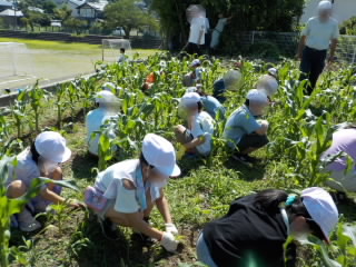 DSCN3172.JPG