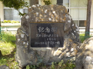 DSCN0060.JPG