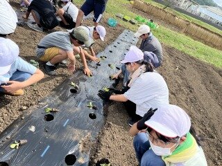 交流学習 (1).jpg