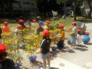 あさがおの種 (1).jpg