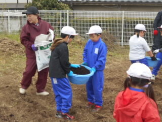 2年畑の作業 (2).jpg