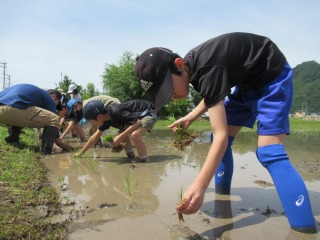 田植え (1).jpg