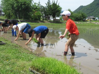 田植え (2).jpg