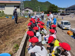 2年石ひろい (2).jpg
