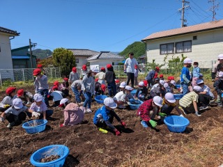 2年石ひろい (4).jpg