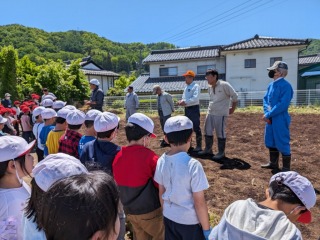 2年石ひろい (8).jpg