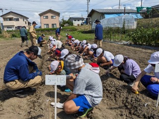 5年農業体験 (1).jpg