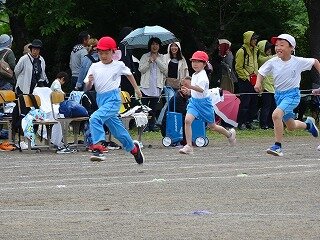 DSC08492.jpg