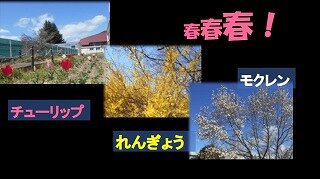 スクリーンショット_11-4-2025_142334_.jpg