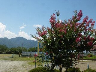 P1270401.jpg