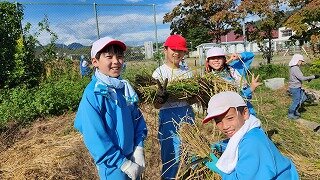 20250929_090109.jpg