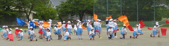 P1260291.jpg