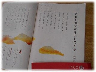 画像14.jpg