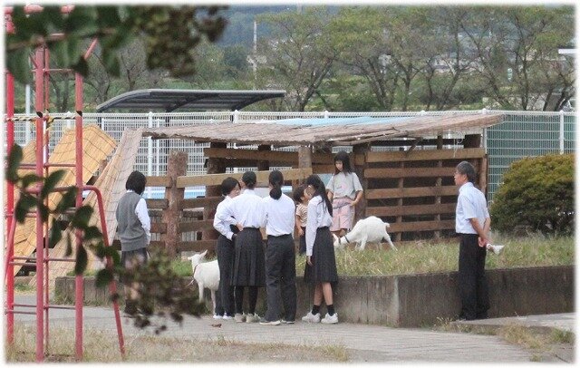 画像23.jpg