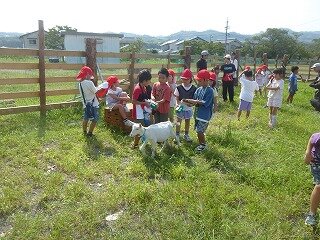 P1270555.jpg