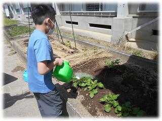画像1.jpg