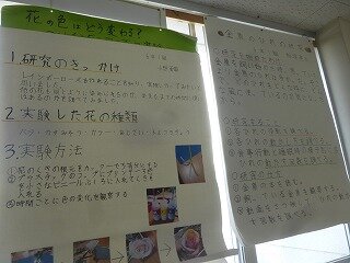 P1270582.jpg