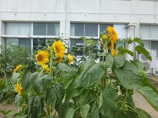 P1260999.jpg