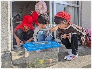 画像1.jpg
