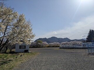 画像1.jpg
