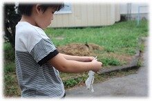 画像42.jpg