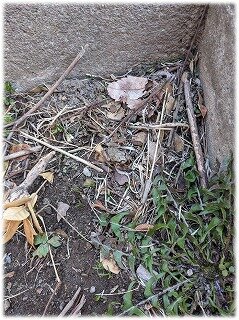 画像８.jpg