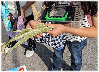画像12.jpg